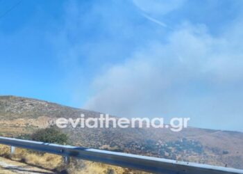 Φωτιά στην Κάρυστο – Επιχειρούν και εναέρια μέσα