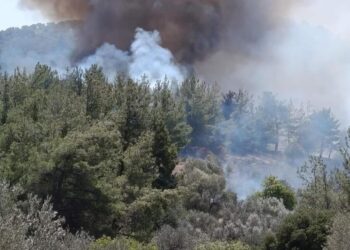 Φωτιά τώρα στη Βρίσα Λέσβου – 112 για ετοιμότητα, ενισχύθηκαν οι πυροσβεστικές δυνάμεις