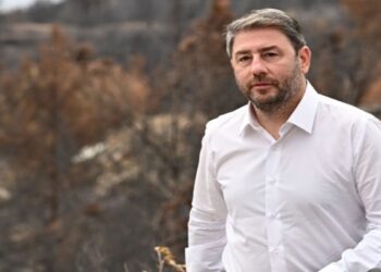 Νίκος Ανδρουλάκης: «Δεν μπορεί να αναταχθεί οικονομικά και δημογραφικά η χώρα χωρίς ολοκληρωμένα τοπικά σχέδια περιφερειακής ανάπτυξης»