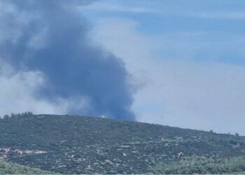 Φωτιά στην Πυλαία Θεσσαλονίκης – Στάλθηκε 112 για ετοιμότητα