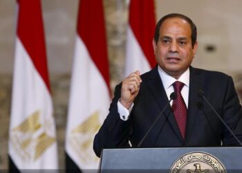 Αλ Σίσι: Η λύση των δύο κρατών είναι ο μοναδικός δρόμος για εδραιωμένη ειρήνη