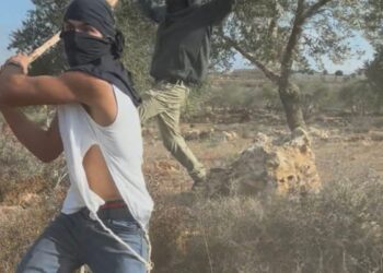 Απάνθρωπες εικόνες στη Δυτική Όχθη: Ισραηλινοί χτυπούν αγρότες, γυναίκες και παιδιά