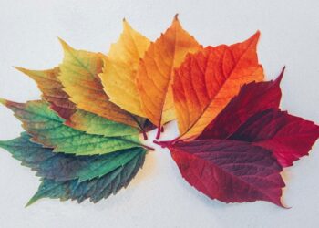 Copernicus: Ο Σεπτέμβριος του 2025 ο τρίτος θερμότερος στα χρονικά