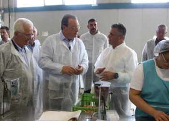 Φάμελλος από Μεσσηνία: Καταρρέει η ύπαιθρος με ευθύνη Μητσοτάκη