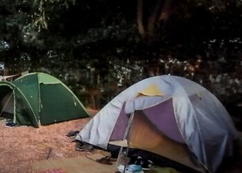 Φοινικούντα: Έτσι έγινε το φονικό – Στο φως η κατάθεση του ανιψιού