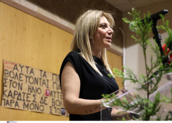Η Μαρία Καρυστιανού οραματίζεται πολιτική με άλλης ποιότητας πολιτικούς