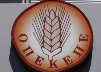 Πρόεδρος εργαζομένων ΟΠΕΚΕΠΕ: Άφησαν τον οργανισμό να καταρρεύσει