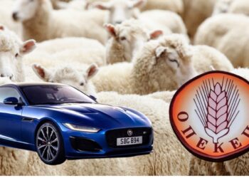 ΟΠΕΚΕΠΕ: Ο «Φραπές» με 2,5 εκατομμύρια αδικαιολόγητη περιουσία, 7 αυτοκίνητα και μια Jaguar