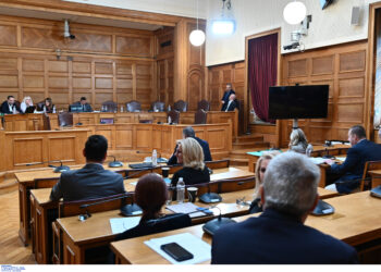 Η Αθανασία Ρέππα δεν είδε σκάνδαλο στον ΟΠΕΚΕΠΕ