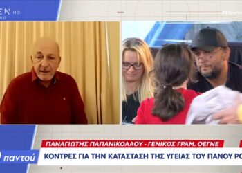 Παναγιώτης Παπανικολάου: Ο Γεωργιάδης λέει ψέματα για τον Πάνο Ρούτσι