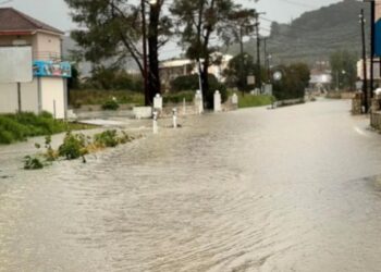 Κακοκαιρία στη Ζάκυνθο: Προβλήματα στο οδικό δίκτυο από πτώσεις δέντρων