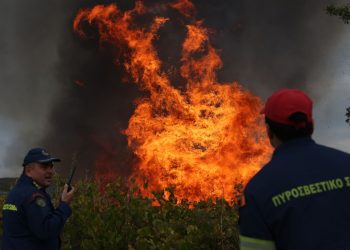 Τραγικό περιστατικό στην Εύβοια – Νεκρός άνδρας μετά από φωτιά σε χωράφι