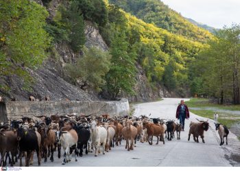 Σκωτσέζικο ντουζ από την κομισιόν για τα αγροτικά
