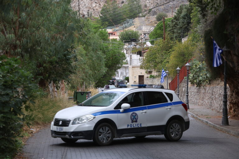 Βορίζια: Παραδόθηκε και συνελήφθη ο αδελφός της 56χρονης που σκοτώθηκε