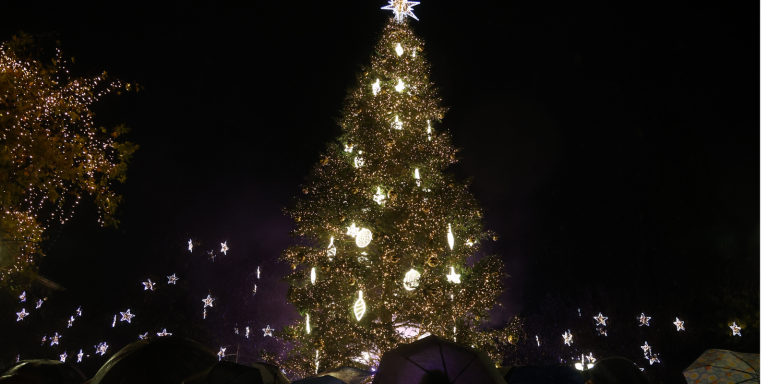 Σύνταγμα: Με βροχή η φωταγώγηση του χριστουγεννιάτικου δέντρου (φώτο, βίντεο)