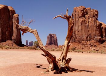 ΣΥΡΙΖΑ: «Ο Άδωνις ονειρεύεται Φαρ Ουέστ ενώ η χώρα μετράει σφαίρες στα Βορίζια»