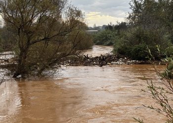 Καταδρομείς στην Φιλιππιάδα έσωσαν άλογο από τις πλημμύρες
