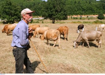 Παγκόσμια πρωτοτυπία: Γραμμή ψυχολογικής υποστήριξης κτηνοτρόφων