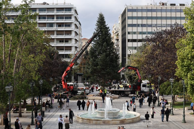 Στο Σύνταγμα το χριστουγεννιάτικο δέντρο από τη Βυτίνα
