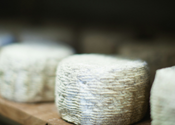 ΕΦΕΤ: Ανακαλεί μυζήθρα – Ανιχνεύτηκαν επικίνδυνες τοξίνες