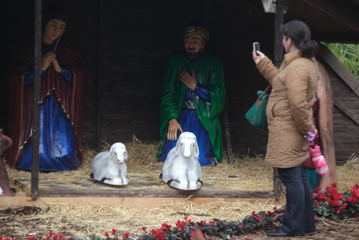 Σάλος στον Βόλο: Ζωντανό πόνι στην Χριστουγεννιάτικη φάτνη του Μπέου