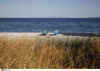 Από τον «Byron» σε… πρόωρες Αλκυονίδες: Η πρόγνωση Ζιακόπουλου για τον καιρό