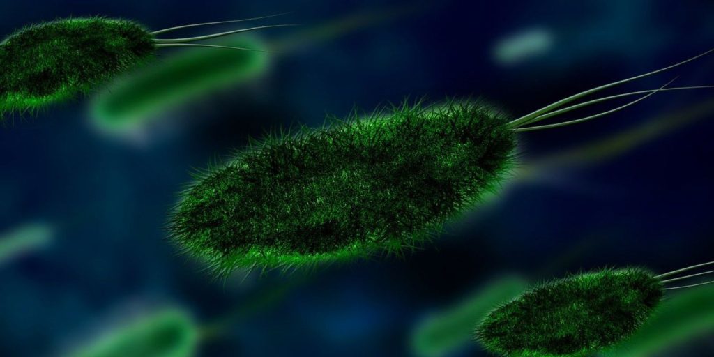 Nature’s 10 για το 2025: Οι επιστήμονες που άλλαξαν τη χρονιά με το θάρρος και το έργο τους