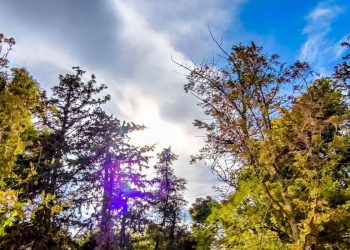 Καιρός: Αίθριος σε όλη τη χώρα – Στους 20 βαθμούς η θερμοκρασία