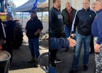 Τι κάνει η αλεπού στο παζάρι;