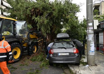 Δέντρο έπεσε πάνω σε όχημα στο Παλαιό Φάληρο – Μόλις είχε βγει οδηγός (βίντεο)