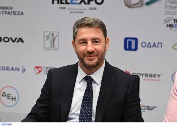 Η Α’ Θεσσαλονίκης: το survivor edition του ΠΑΣΟΚ