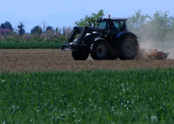 Κρίσιμη η συνεισφορά του αγροτικού τομέα στο ΑΕΠ