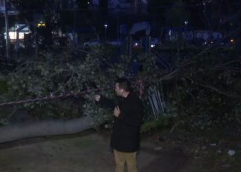 Χαϊδάρι: Δέντρο έπεσε σε παιδική χαρά – Δύο μέρες δεν το έχει μαζέψει ο δήμος