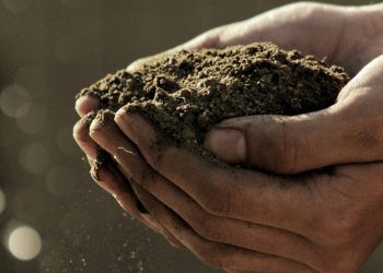 Διατροφική κρίση: Μεγαλύτερες ανισότητες και νέο κύμα ακρίβειας αν δεν δοθεί λύση στο αγροτικό ζήτημα