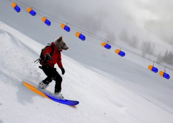 Νέος θάνατος σκιέρ στις Άλπεις – Στους 20 οι νεκροί από τις αρχές του μήνα