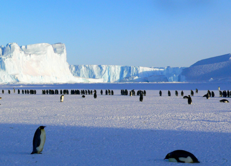 Ice Memory Sanctuary: Εγκαινιάστηκε στην Ανταρκτική το πρώτο αποθετήριο δειγμάτων πάγου