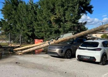 Ζημιές από τους θυελλώδεις ανέμους στη Φθιώτιδα – Χιονοπτώσεις και αλυσίδες στην Ευρυτανία