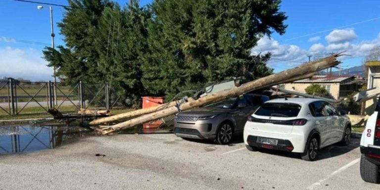 Ζημιές από τους θυελλώδεις ανέμους στη Φθιώτιδα – Χιονοπτώσεις και αλυσίδες στην Ευρυτανία