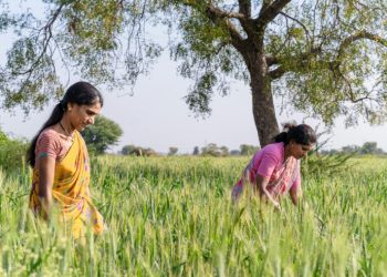 Ανοίγει η πόρτα της Ευρώπης στους εργάτες της Ινδίας – Τι «δίνει» η εμπορική συμφωνία στα αγροτικά προϊόντα