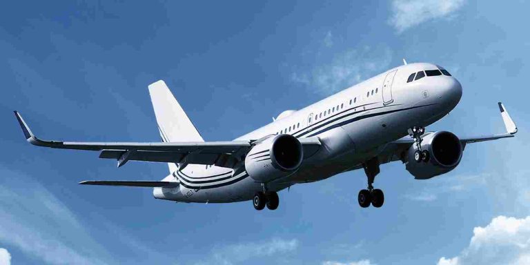 Guardian: Η ICE με ιδιωτικό τζέτ φίλου του Τραμπ απέλασε Παλαιστινίους!