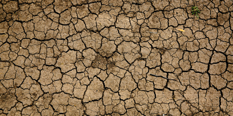 Πώς η κλιματική κρίση ωθεί ανθρώπους σε μετανάστευση