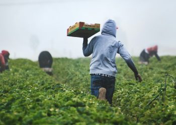 Μεταναστευτικό: Η Politico ξεσκεπάζει την υποκρισία της κυβέρνησης