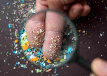 Μικροπλαστικά: Πώς ακυρώνουν τις φυσικές άμυνες του πλανήτη απέναντι στην κλιματική κρίση