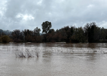 Κακοκαιρία στην Ηλεία: Έσπασε αναχώματα ο Αλφειός