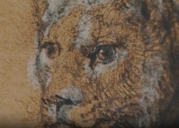 Ρέμπραντ: Ο πίνακας που πουλήθηκε με τα έσοδα να διατίθενται για φιλοζωικούς  σκοπούς