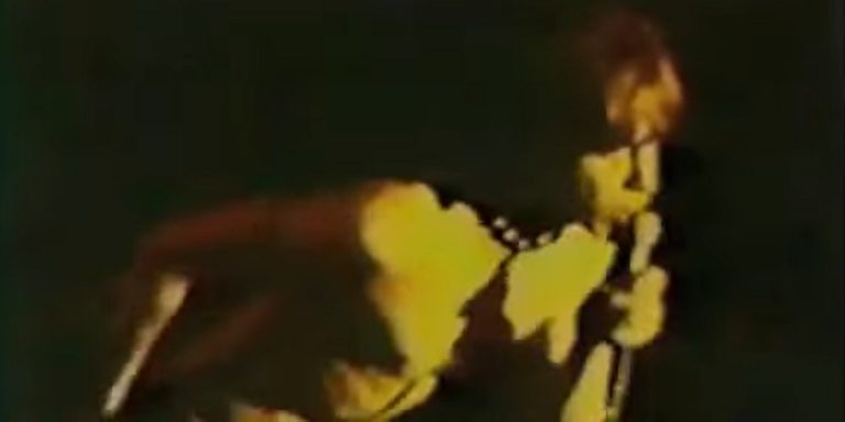 Γιατί η metal δεν γεννήθηκε σαν σήμερα (βίντεο)