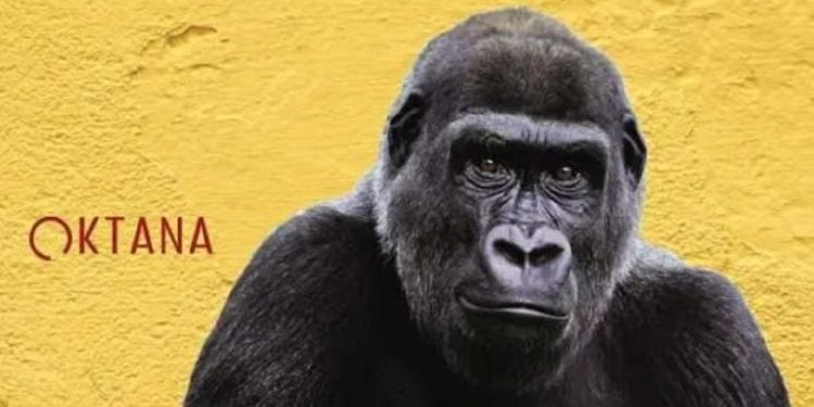 «Ιστορίες χωρίς φωνή»: Ένα λογοτεχνικό και πολιτικό κάλεσμα για δικαιοσύνη, σεβασμό και αλληλεγγύη