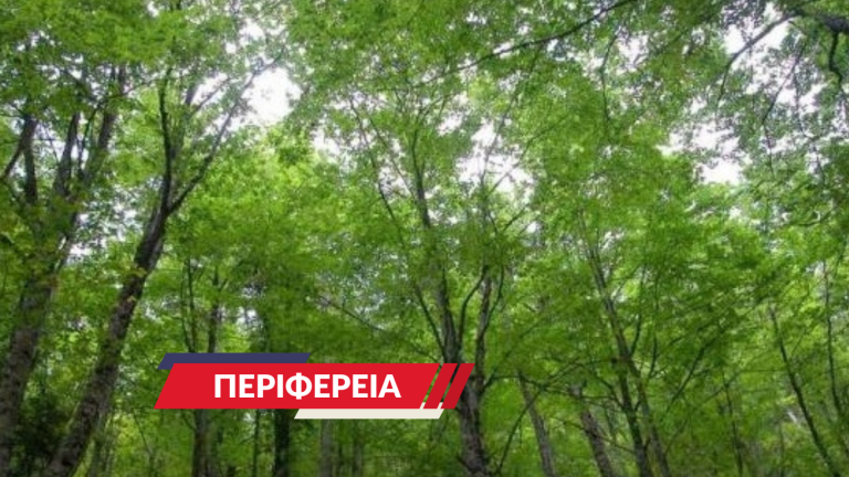 Η αειφορική διαχείριση των δασικών οικοσυστημάτων ως μέσο άσκησης της οικονομίας του δάσους και του φυσικού περιβάλλοντος